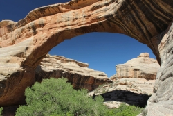 National Park or National Monument: Sipapu Natural Bridge, Natural Bridges National Monument, Courtesy and Copyright Anna Bengston