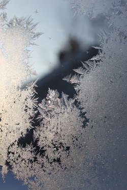 Click for a larger view of water as frost on a window, Courtesy and Copyright Andrea Liberatore