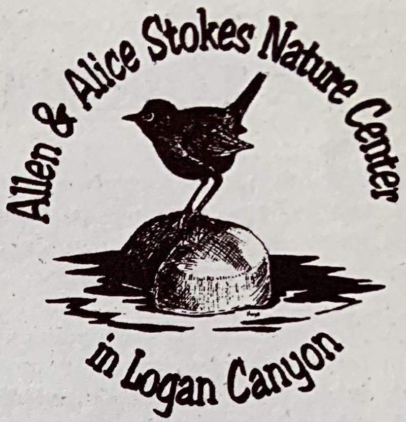 25th Anniversary Nutshell History of the Founding of the Stokes Nature Center, 1997 Stokes Nature Center Logo Courtesy & Copyright Kayo Robertson, Illustrator