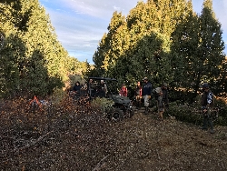 In-stream Habitat Structures: Crews from multiple agencies gather in the encroaching pinyon-juniper forest to begin building the in-stream structures in Birch Creek, UT. Courtesy & Copyright Shauna Leavitt, Photographer