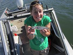 Graduate student Lisa Winters holds a tiger trout likely stocked earlier that spring. It takes at least a year before the stocked fish grow big enough to begin preying on the chub.