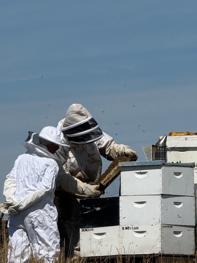 Richard Nelson and Mary Heers Inspecting Honeybee Hives
Courtesy & Copyright Mary Heers, Photographer