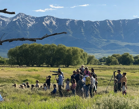Birding-Class-Families Courtesy & Copyright Joseph Kozlowski, Photographer