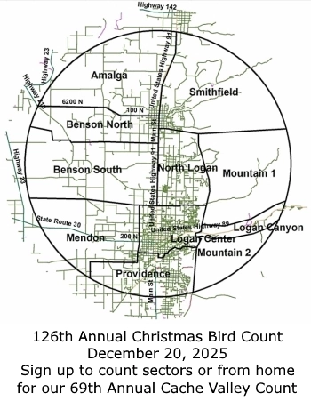 Cache Valley (Logan) Utah Circle, 126th Annual Christmas Bird Count, December 20, 2025, Sign up to count sectors or from home, for our 69th Annual Cache Valley Count