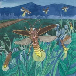 Nibley Firefly Park: Luci the Firefly from  The Mystery of Luci’s Missing Lantern by Melissa Marsted and illustrated by Liesl Cannon Courtesy & © Liesl Cannon, Illustrator