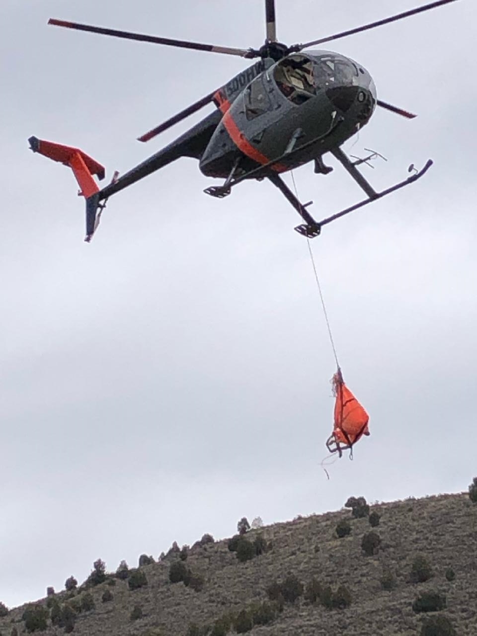 Helicopter Carrying Mule Deer Courtesy & © Mary Heers, Photographer