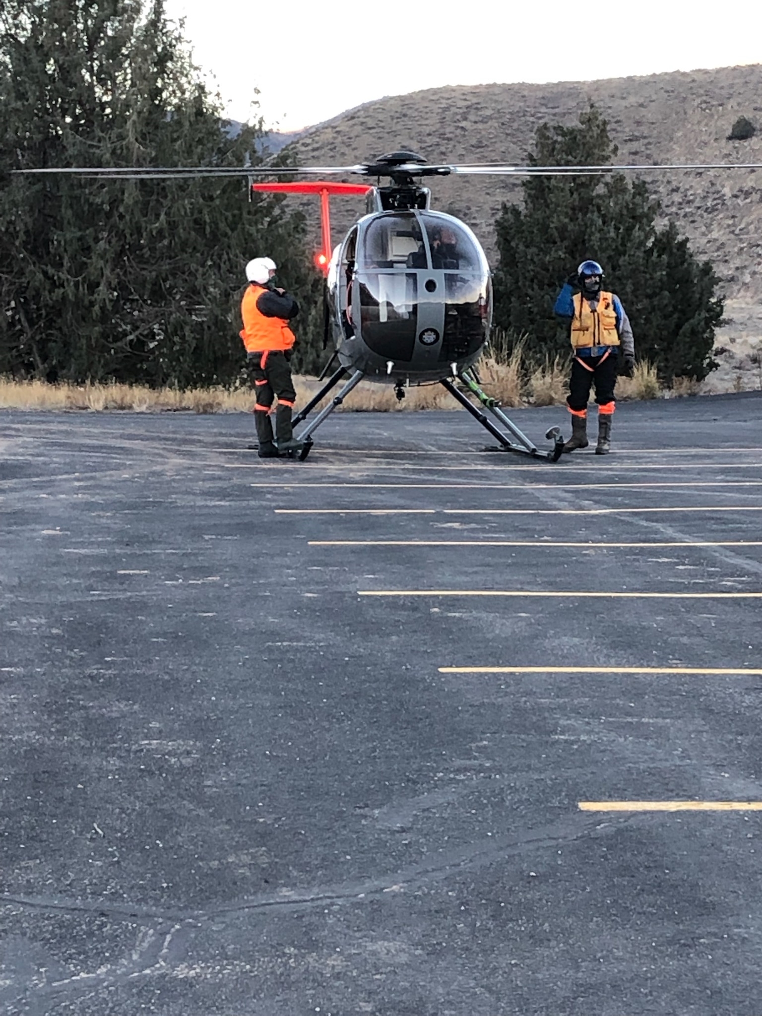 Flying Mule Deer: Helicopter Crew Courtesy & © Mary Heers, Photographer