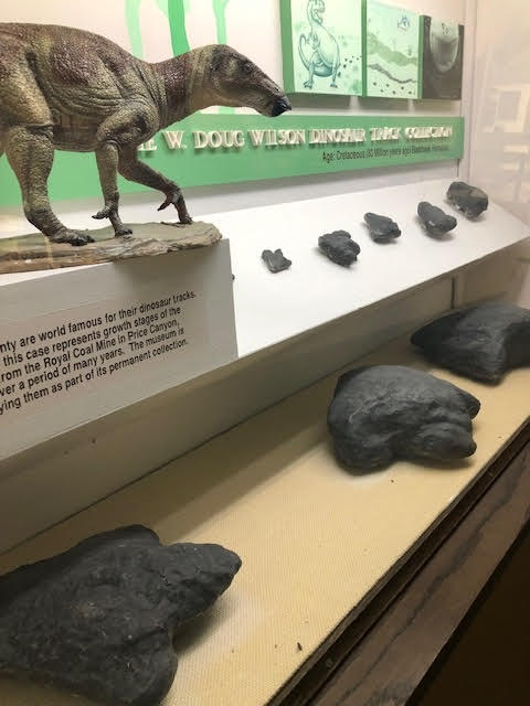 Dinosaur Footprint Display, The Prehistoric Museum, USU Eastern Campus, Price, UT  Courtesy Mary Heers, Photographer