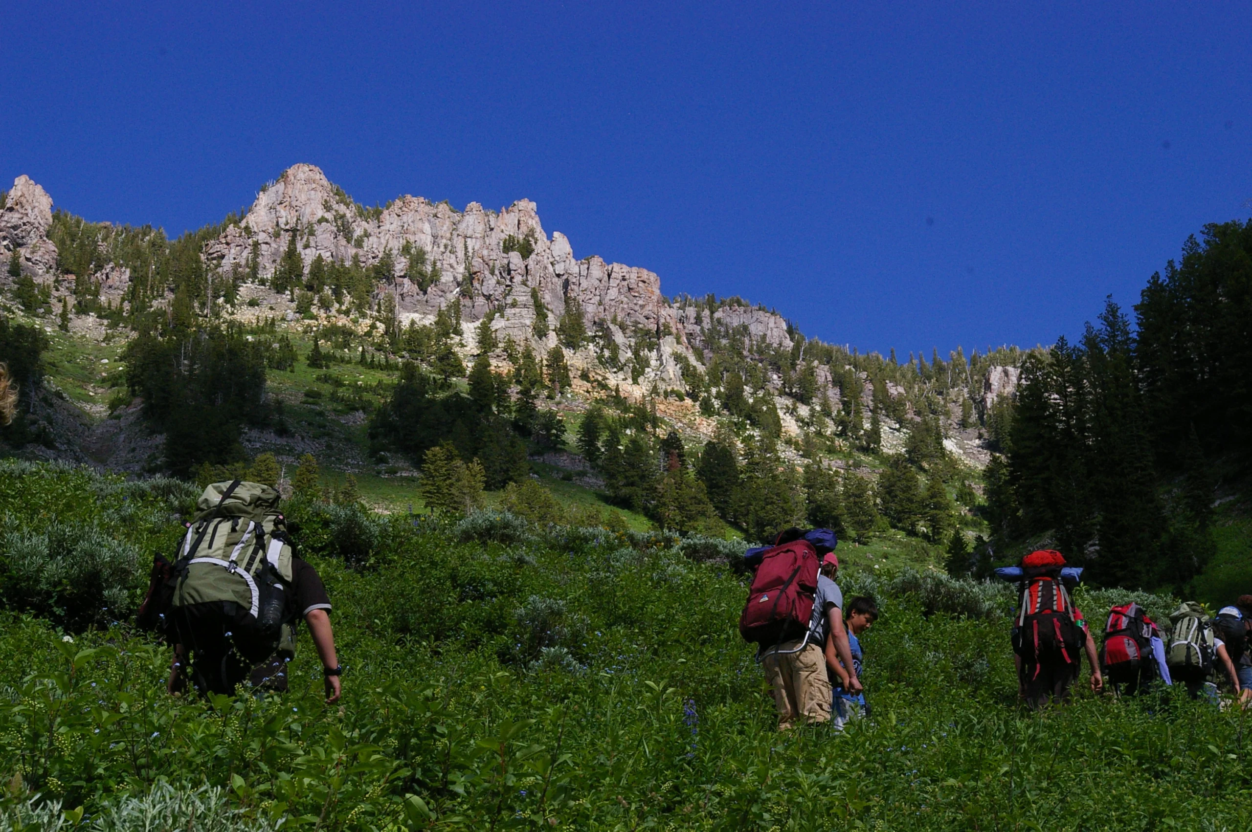 Click for a larger view in a new tab or window Students on the move. High Creek Mount Naomi Wilderness Courtesy & Copyright Eric Newell, Photographer