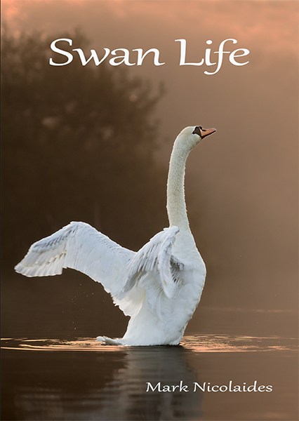 Swan Life Book Cover, Courtesy & © Copyright Mark Nicolaides, All Rights Reserved https://www.swanlife.com/about
