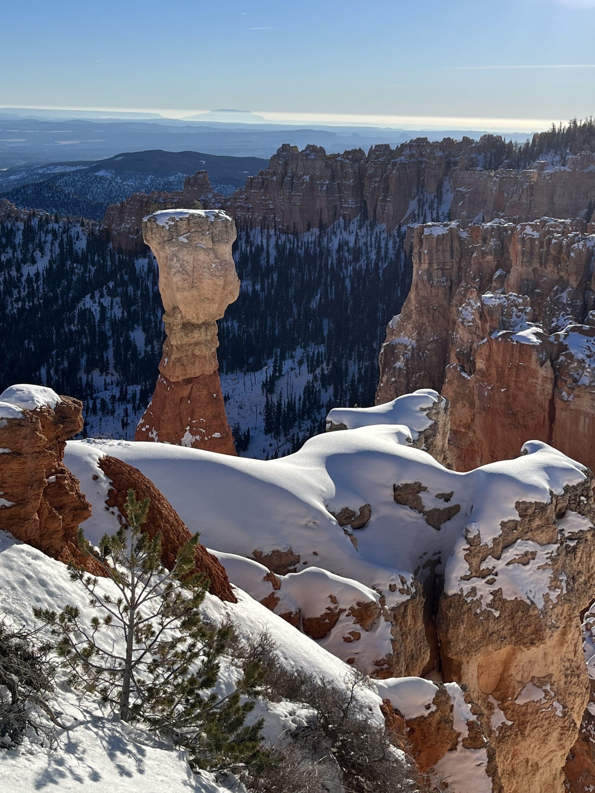 Snow-frosted Hoodoos of Bryce Canyon
Courtesy & Copyright Shannon Rhodes, Photographer