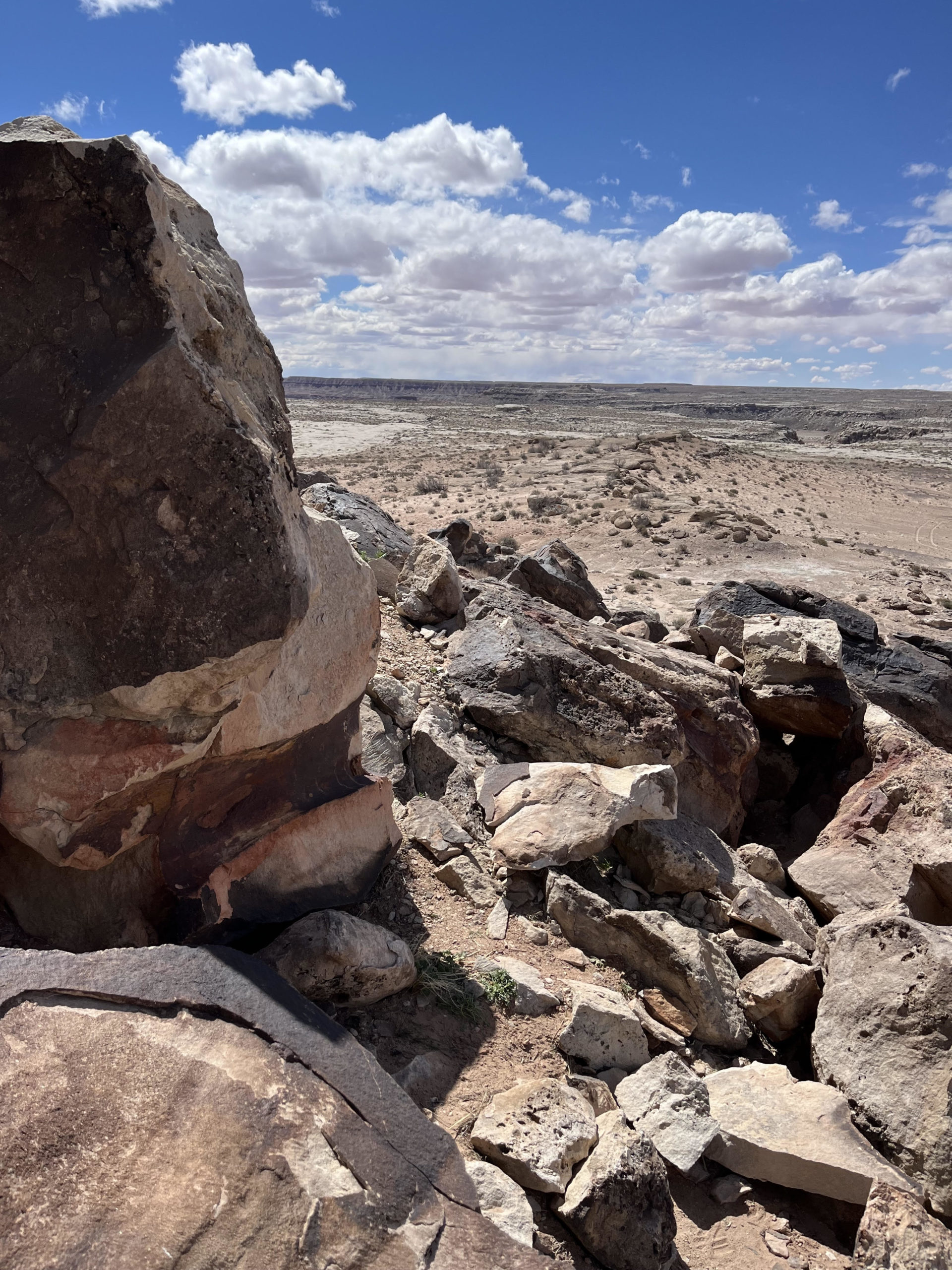 Fossil Point in the San Rafael desert near Green River, Utah, Courtesy & © Shannon Rhodes, Photographer