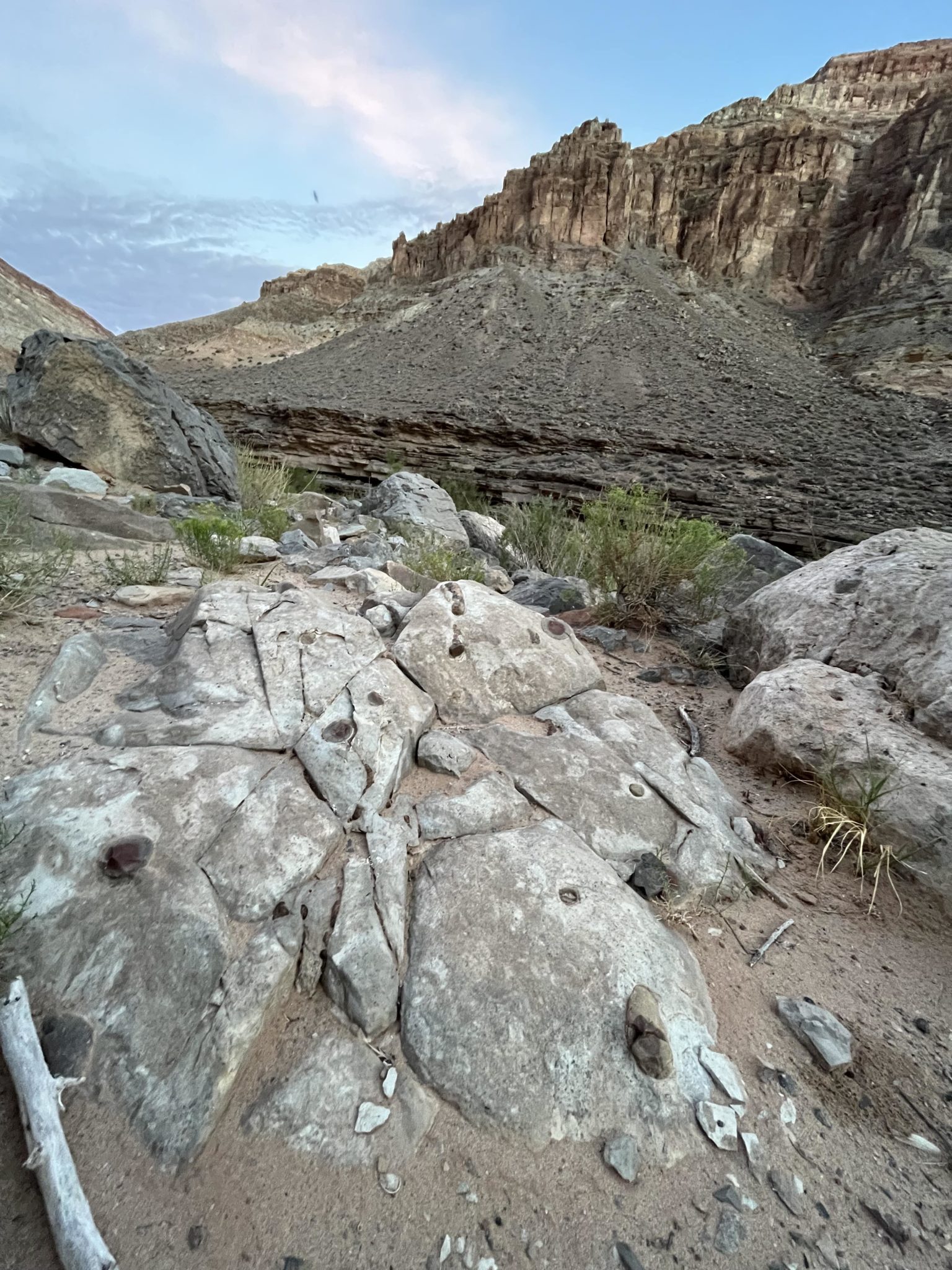 Desert Desserts Wild About Utah