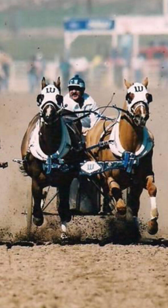 Cheriat Racing A Day at the Chariot Races - Wild About Utah